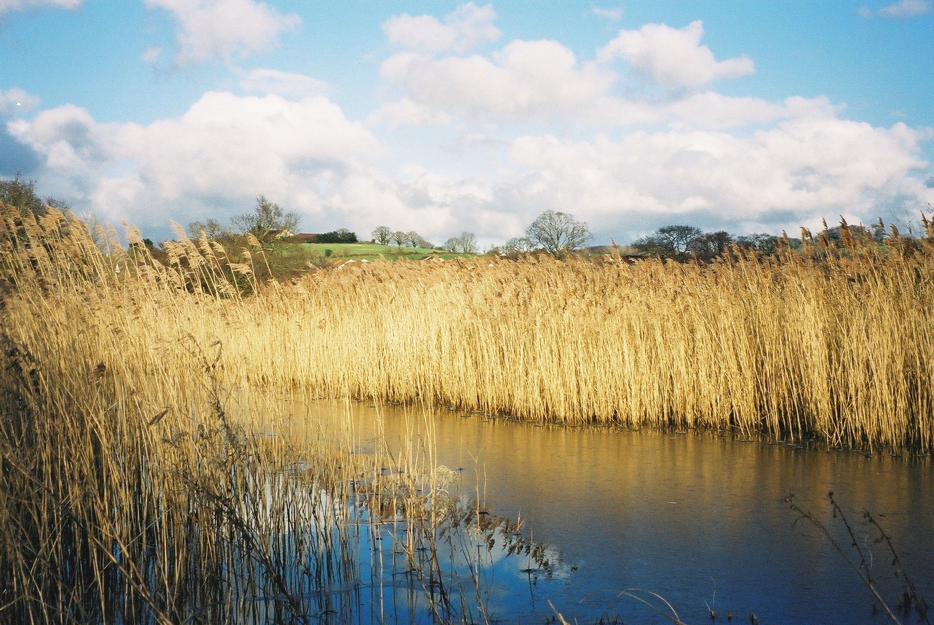 photo of Hackney Marshes